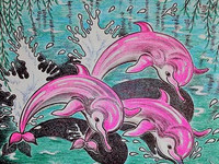 дельфин море рыба красота розовый цвет картинка фото